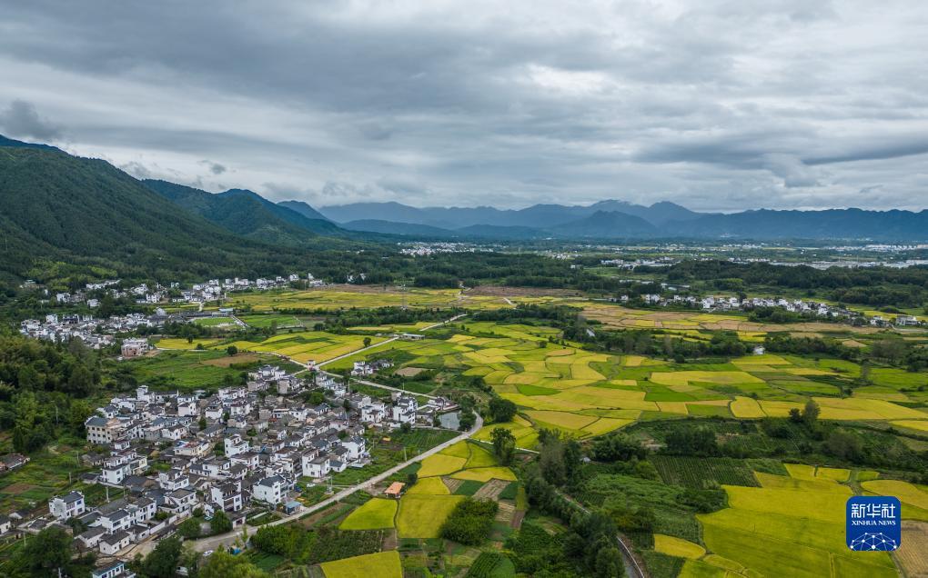 电子电游官网
